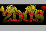 2008 Vietnamese New Year Celebration